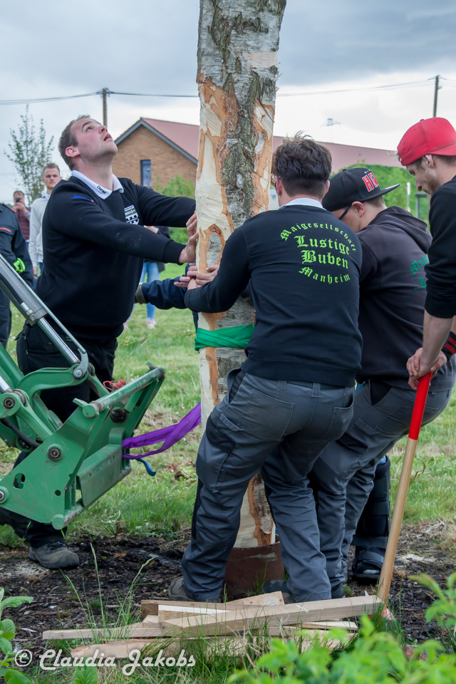 20180430183048 IMG 0977