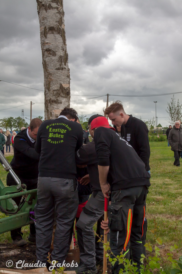 20180430183129 IMG 0983