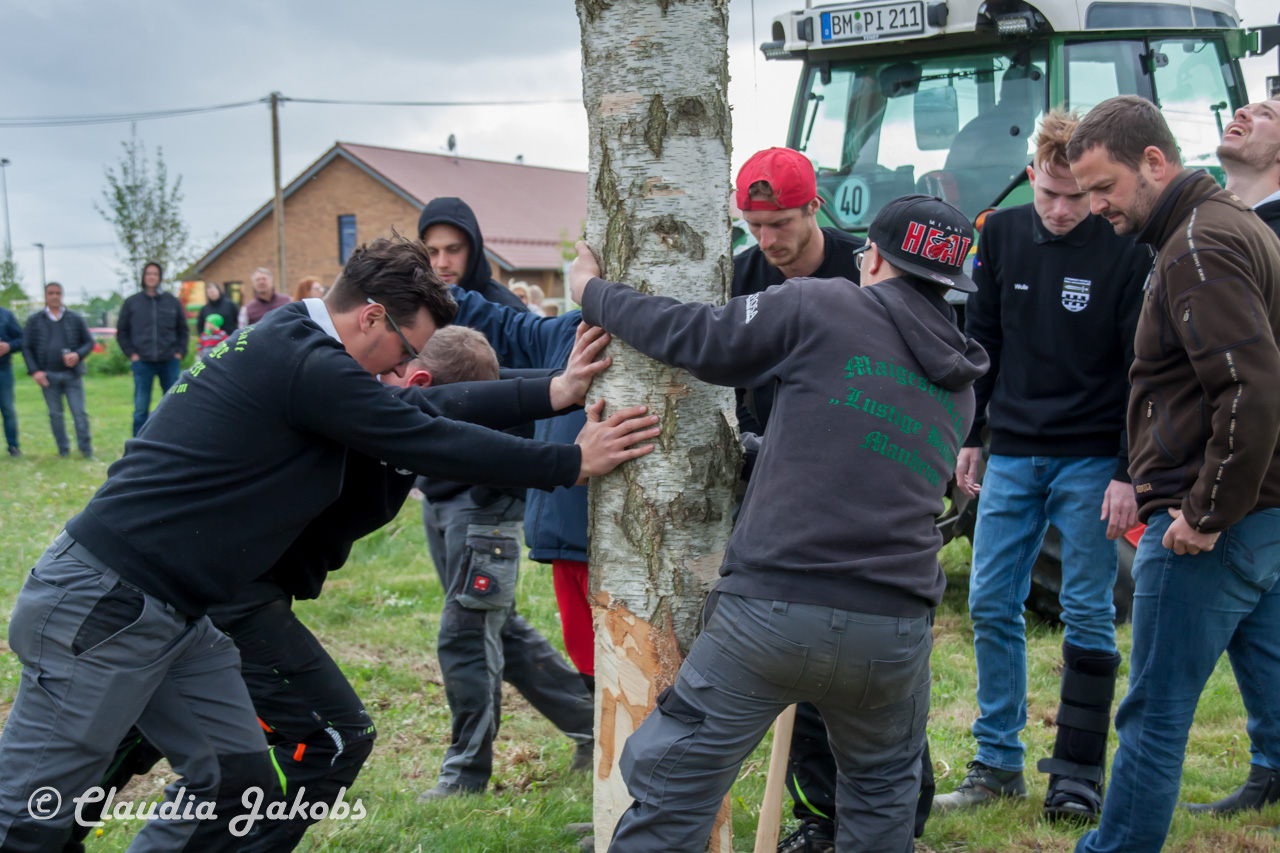 20180430183412 IMG 1001