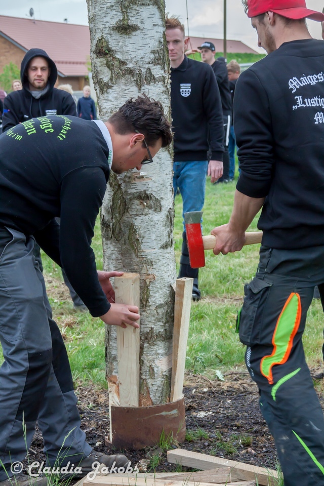 20180430183502 IMG 1010