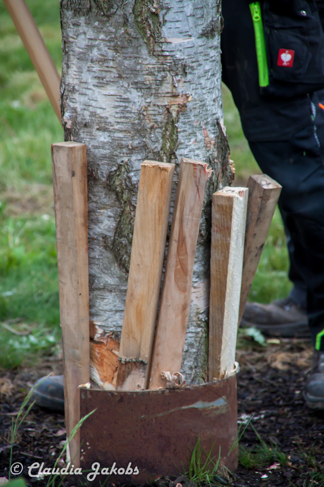 20180430183603 IMG 1025