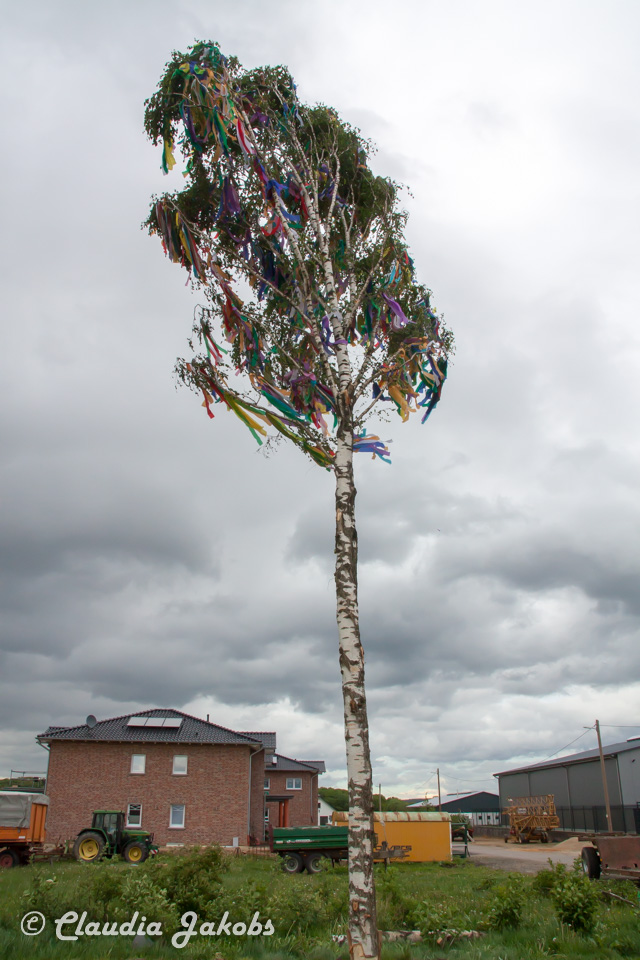 20180430184708 IMG 1100