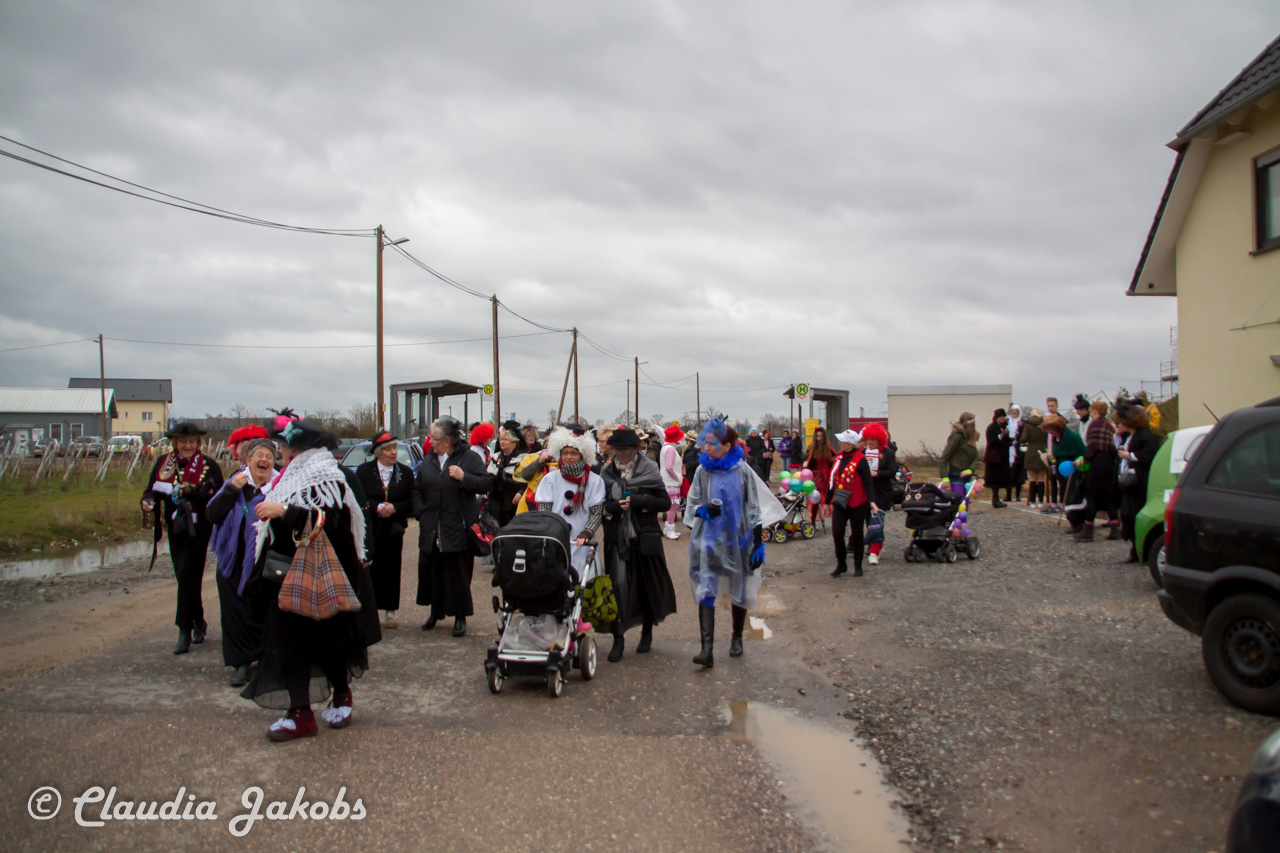 20170223123542 IMG 4850