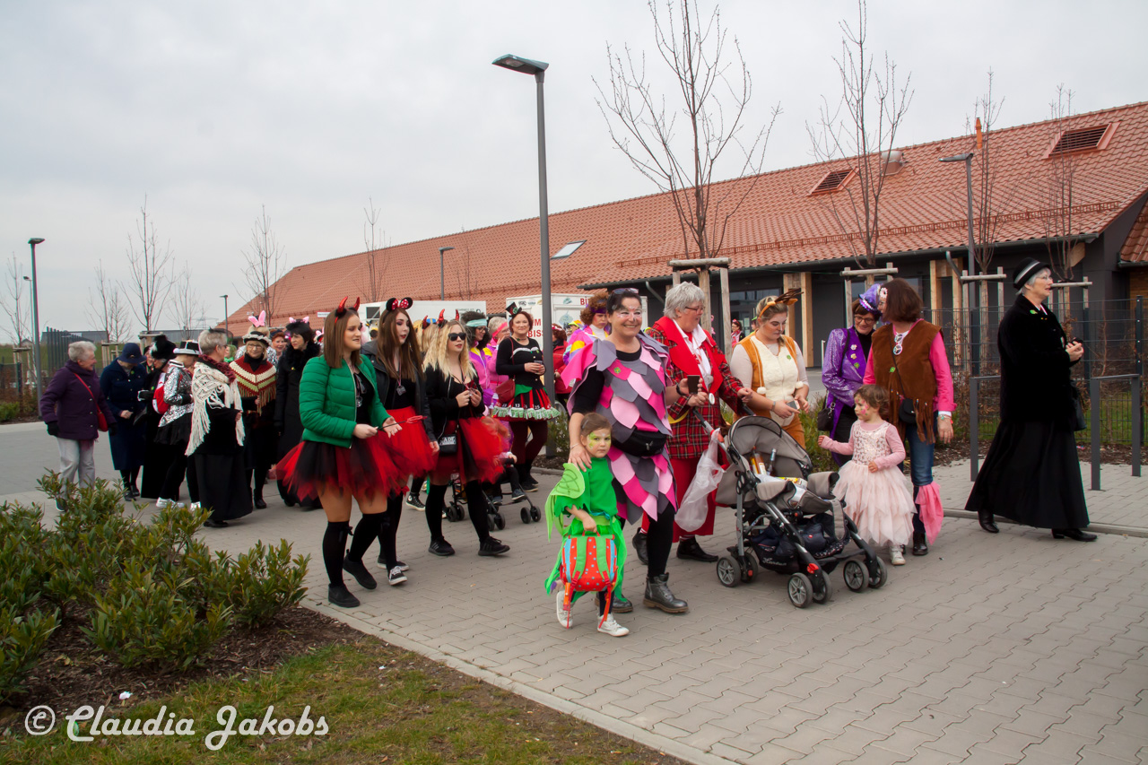 20190228111540 IMG 3669