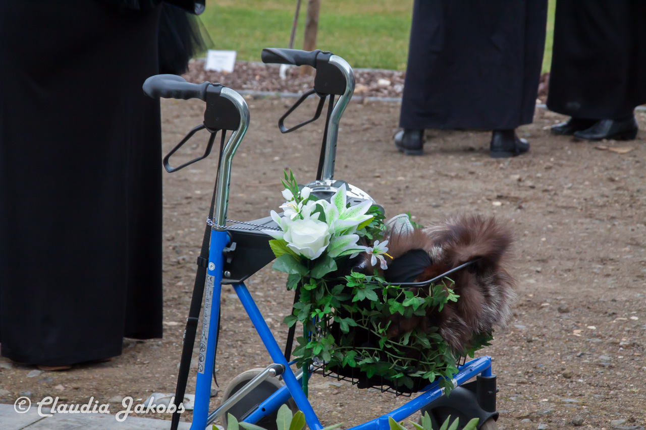 20190228113431 IMG 3717