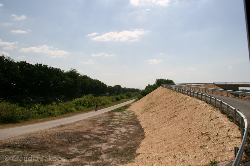 110601145046 IMG 6879