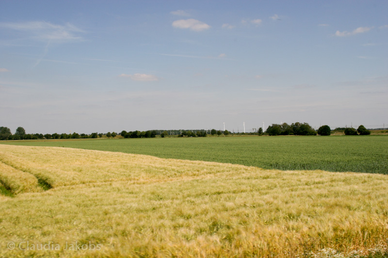 110601150726 IMG 6905