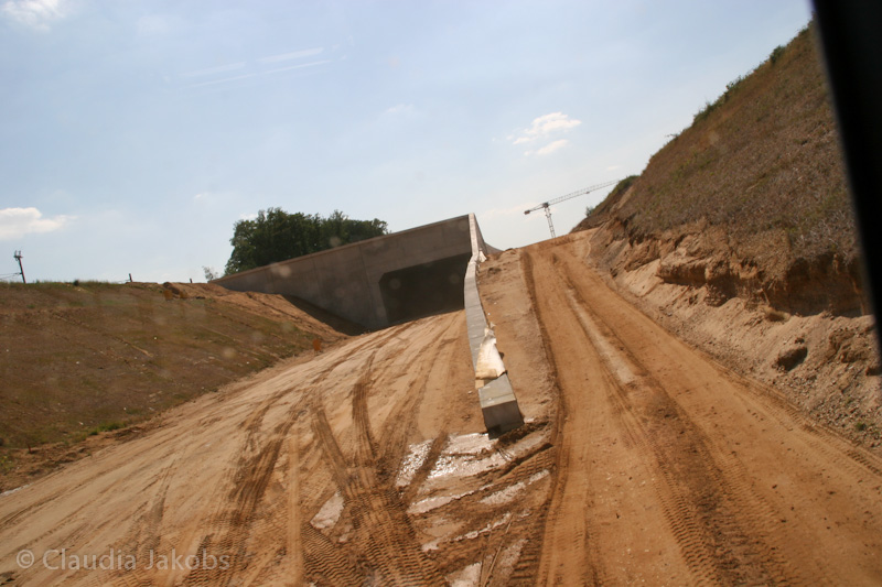 110601151438 IMG 6927