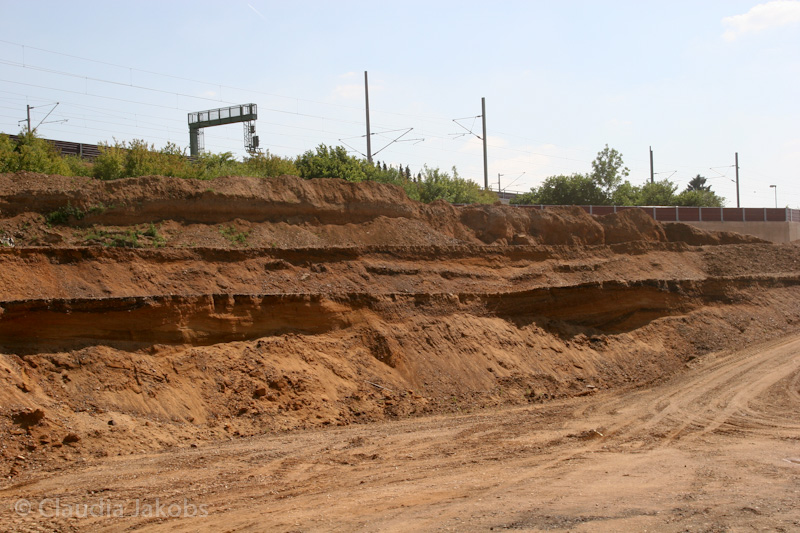 110601152336 IMG 6944