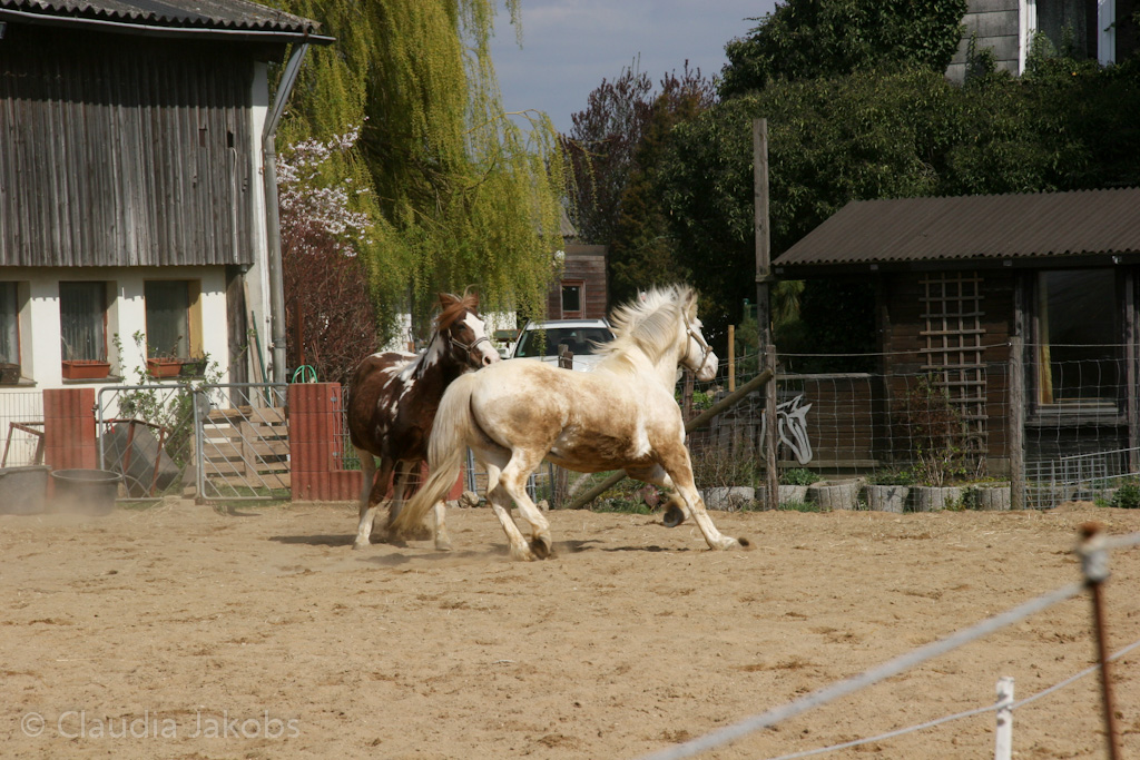 120401144620 IMG 1835