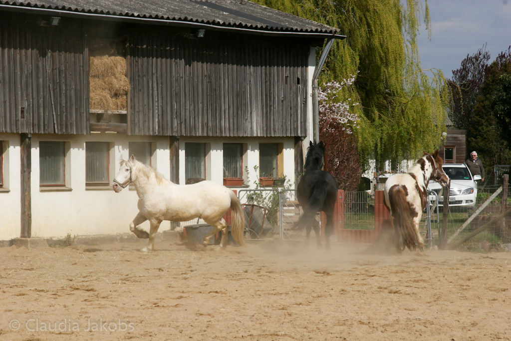 120401144623 IMG 1837