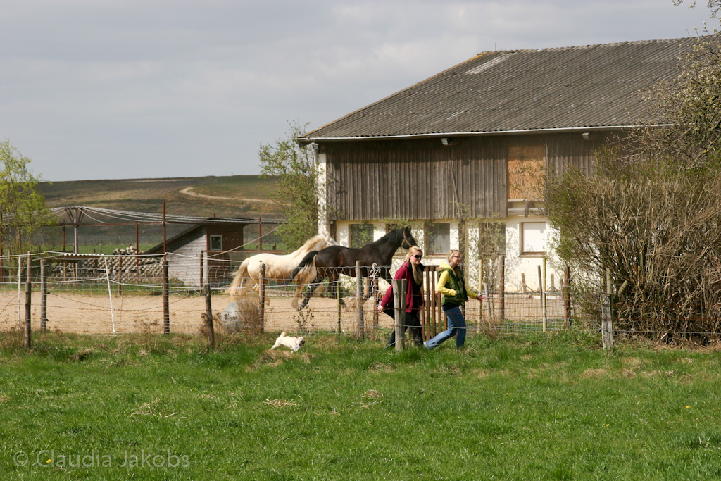 120401144748 IMG 1841