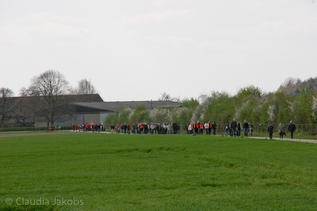 120401145428 IMG 1852