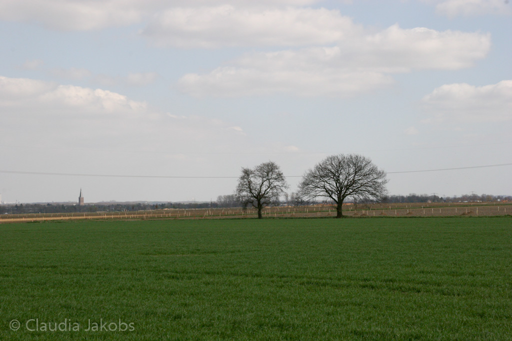 120401150741 IMG 1872