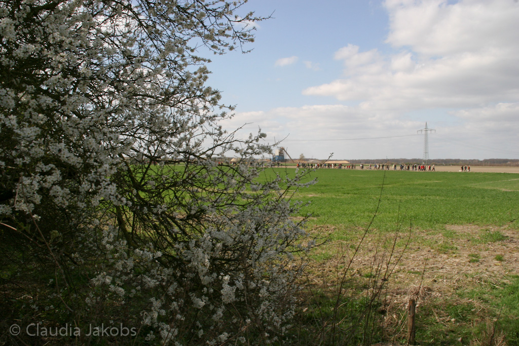 120401151613 IMG 1877