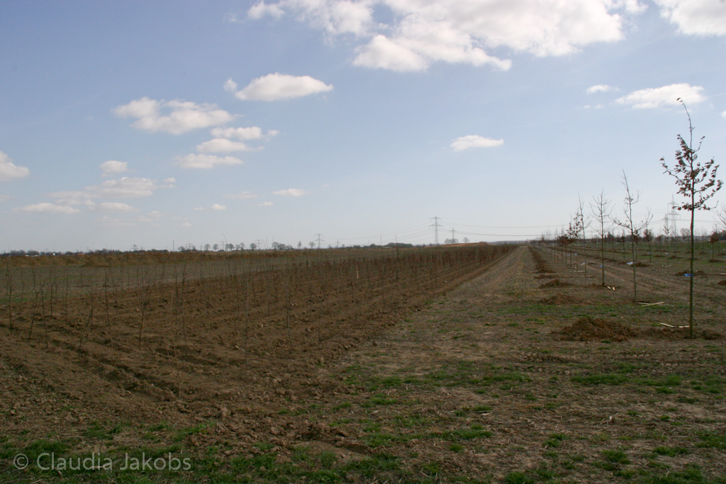 120401152248 IMG 1882