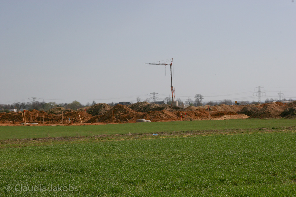 120401153308 IMG 1897