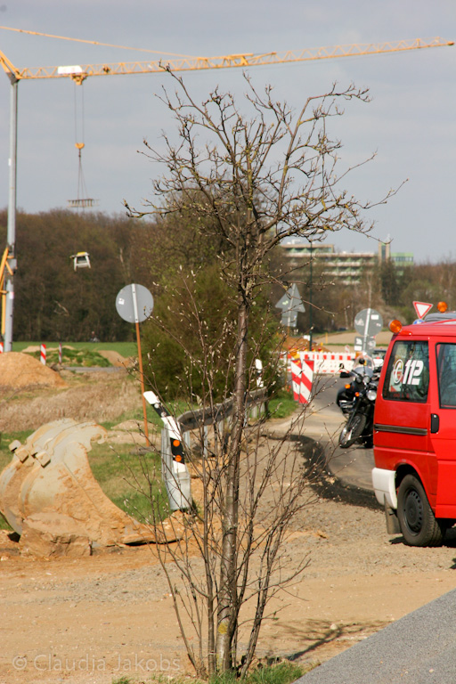 120401154647 IMG 1917