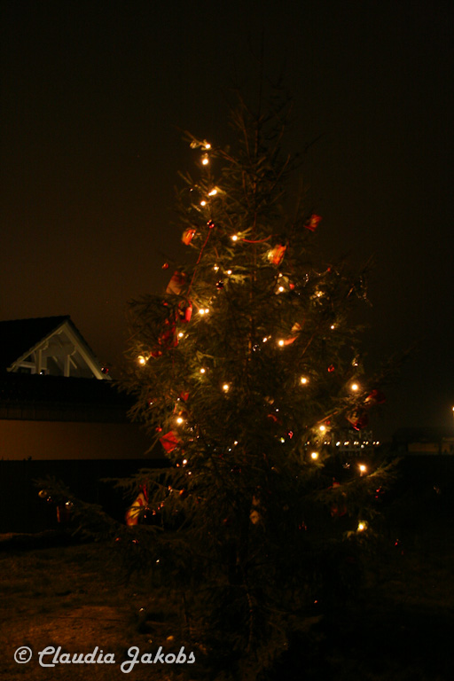 141129180020 IMG 8236