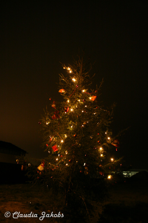 141129180305 IMG 8241