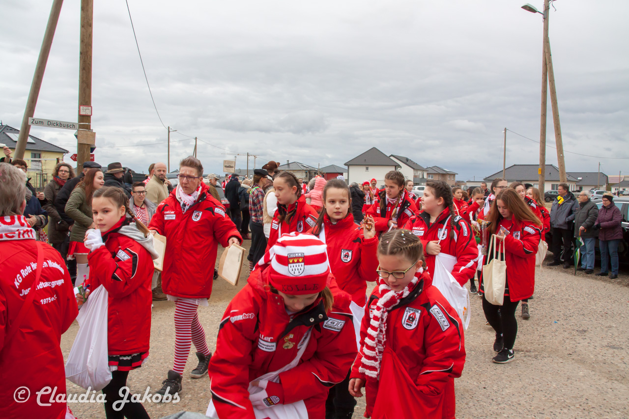 20170228155245 IMG 5183