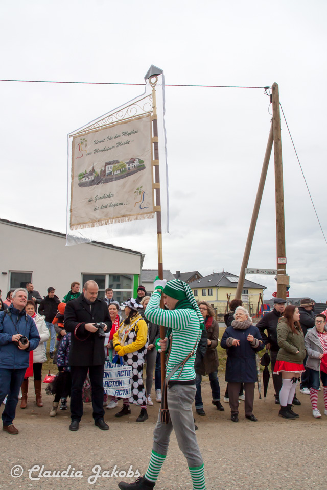 20170228155458 IMG 5208