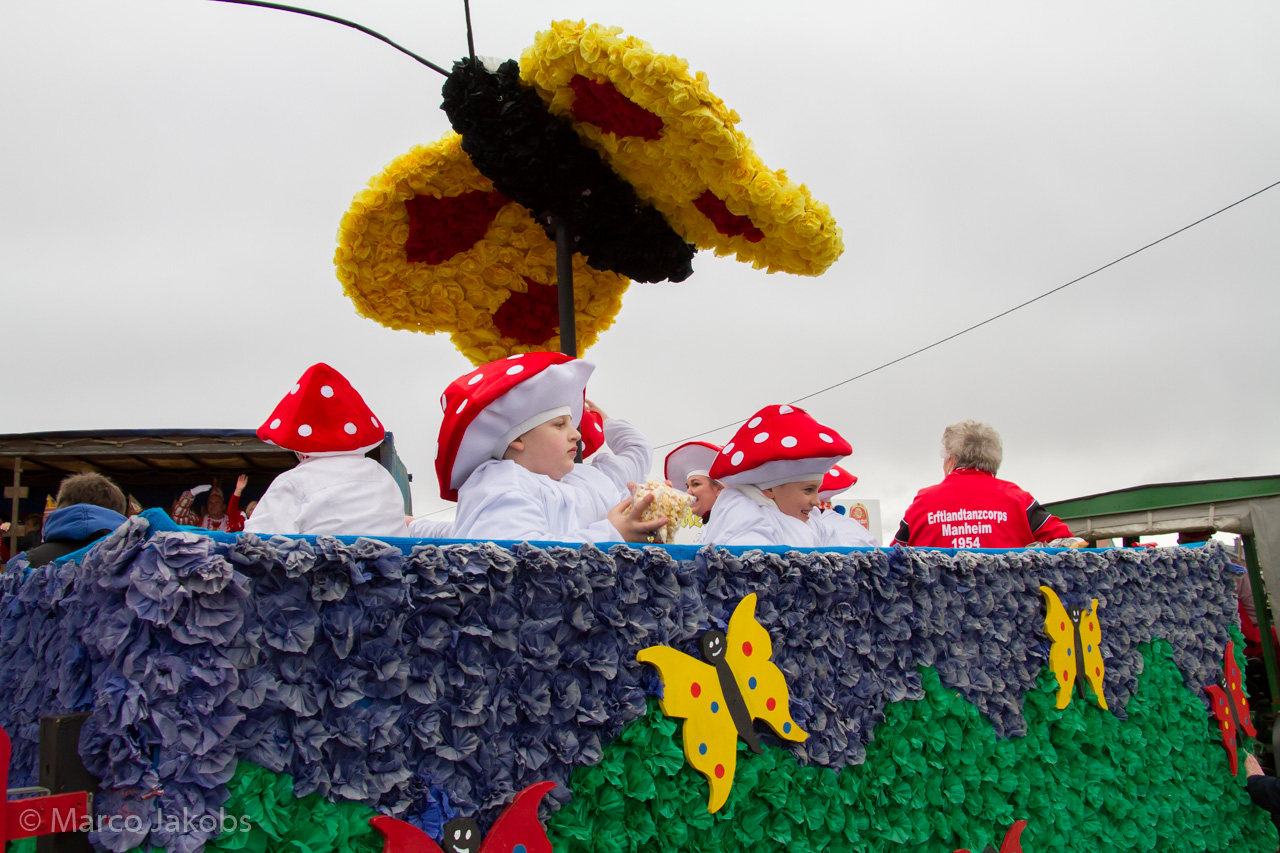 20170228161133 MJ  5411