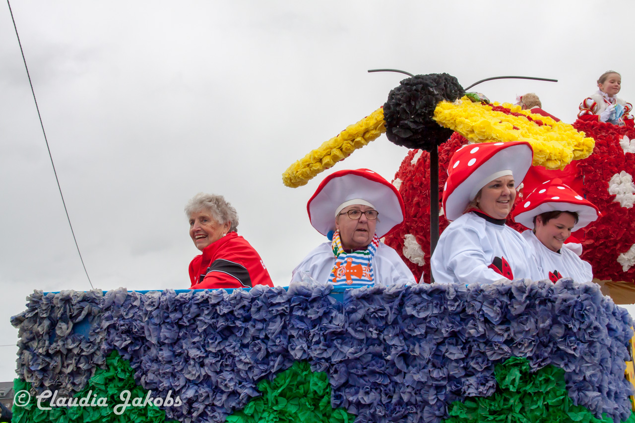 20170228161138 IMG 5355