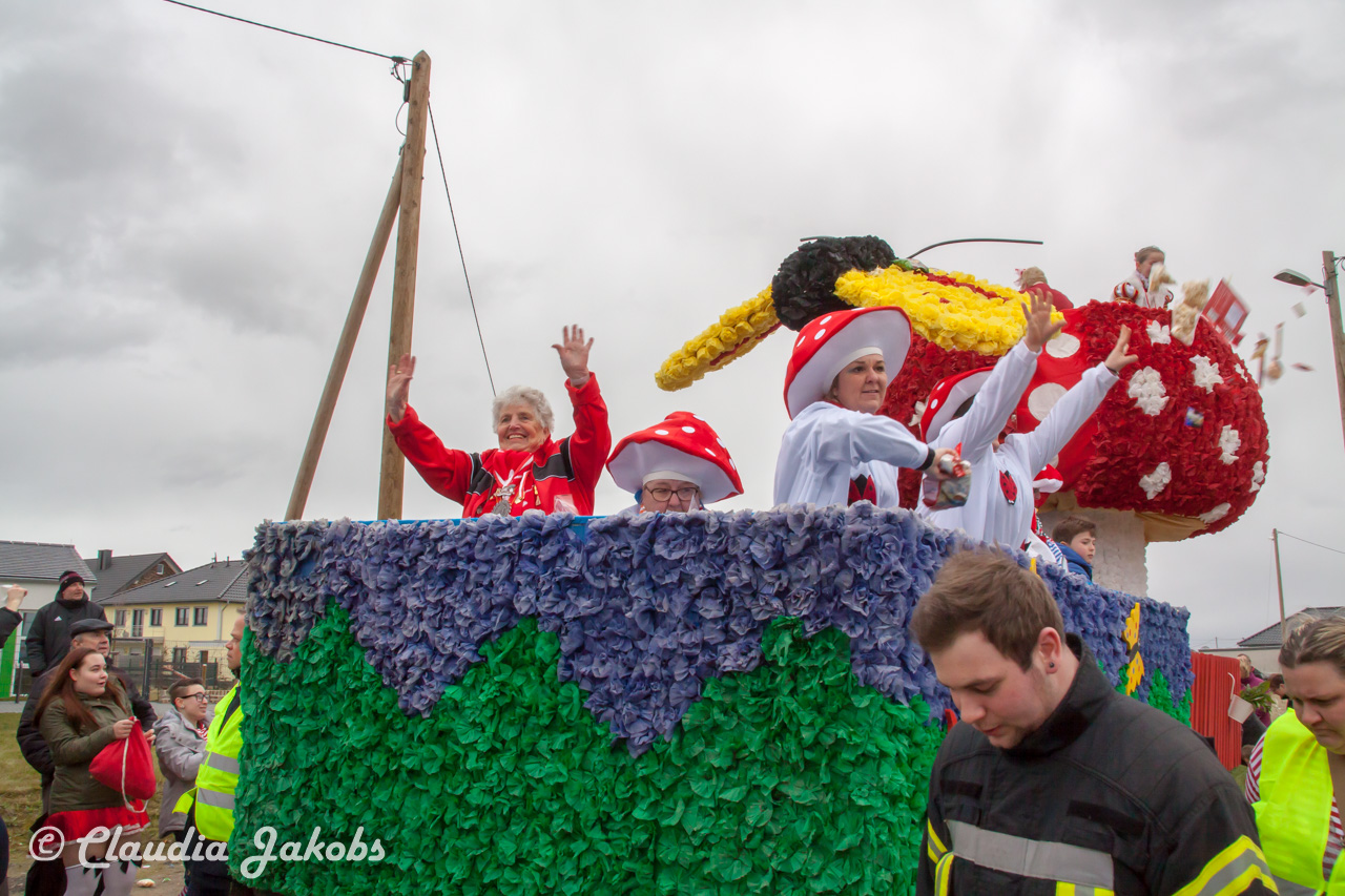 20170228161139 IMG 5356