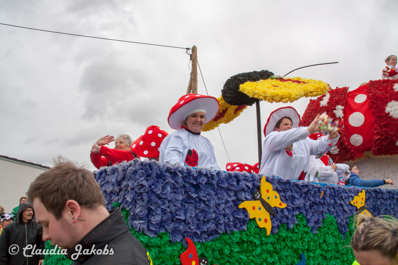 20170228161141 IMG 5358