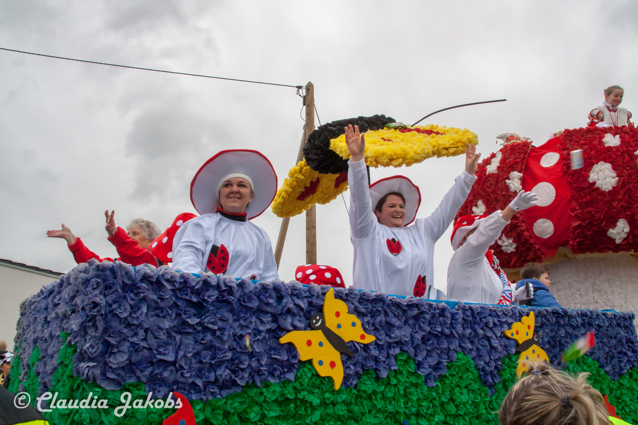 20170228161142 IMG 5360