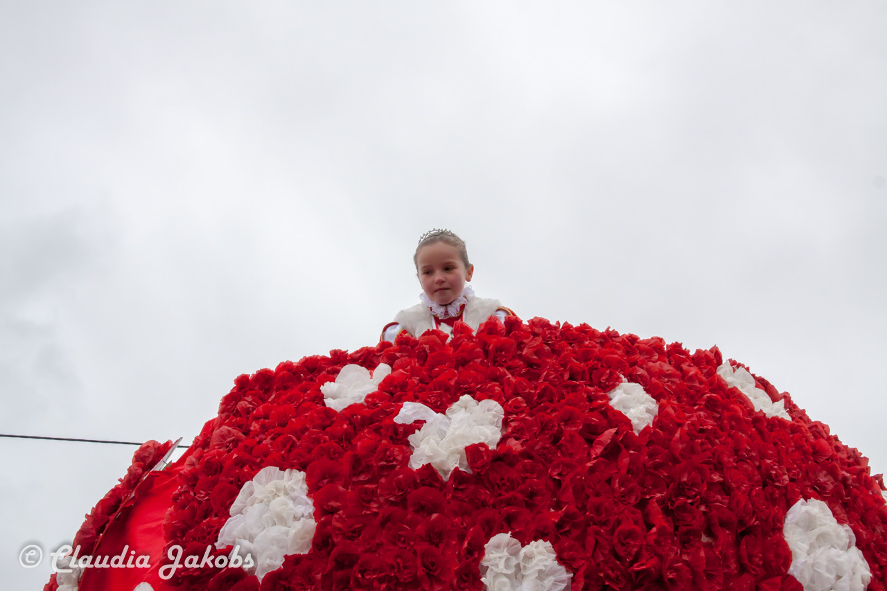 20170228161147 IMG 5363