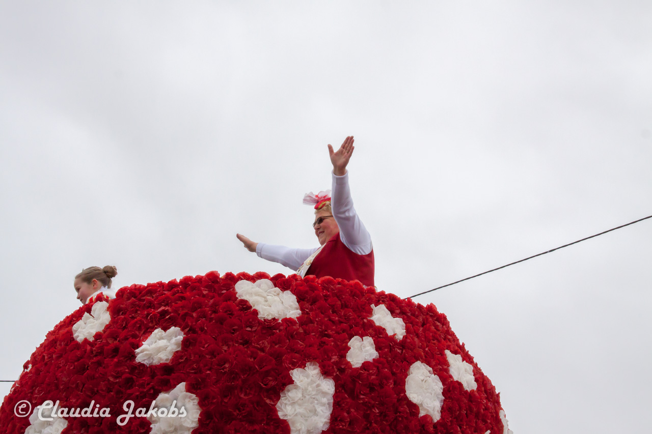 20170228161159 IMG 5372