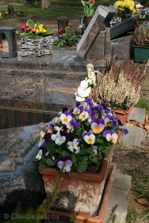 140329143835 IMG 6929