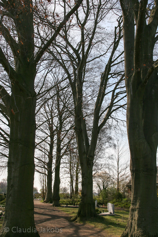 140329144017 IMG 6934