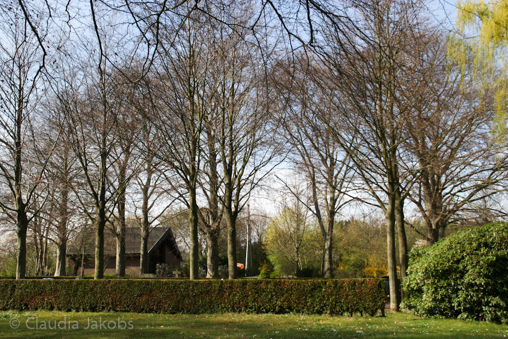 140329144128 IMG 6937