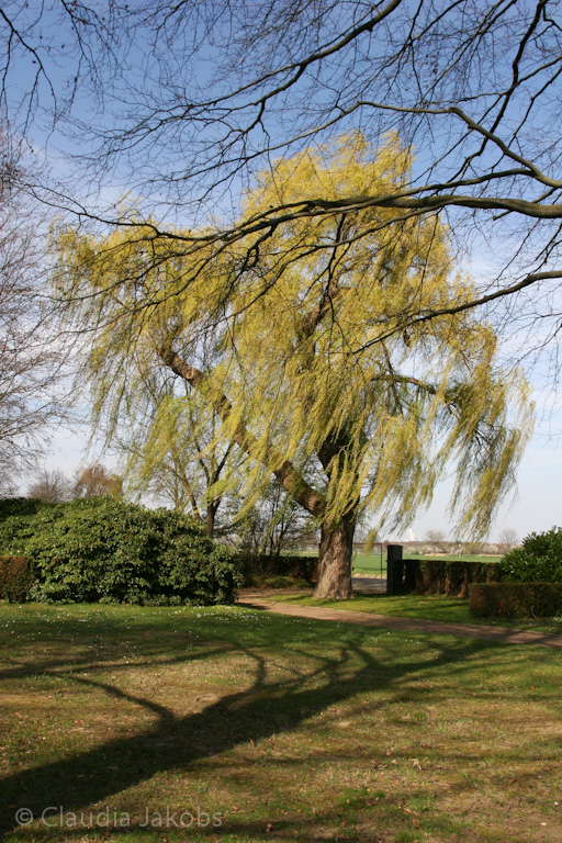 140329144213 IMG 6940