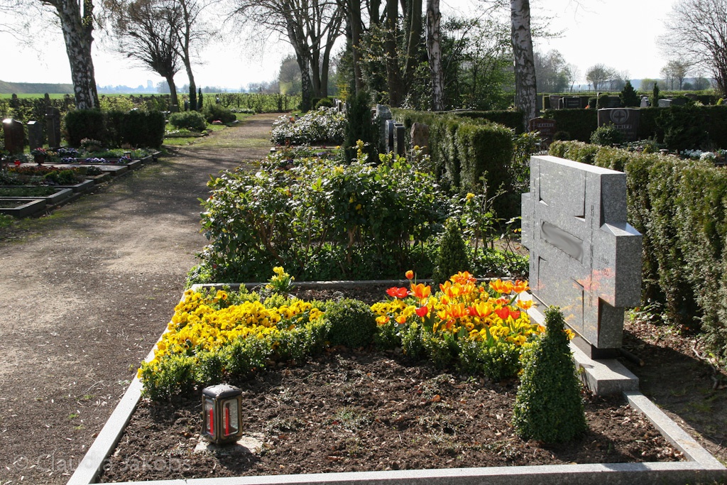 140329144340 IMG 6944