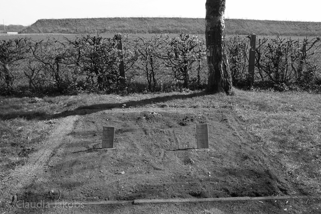 140329144537 IMG 6948