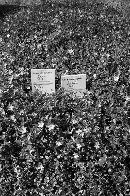 140329144905 IMG 6955