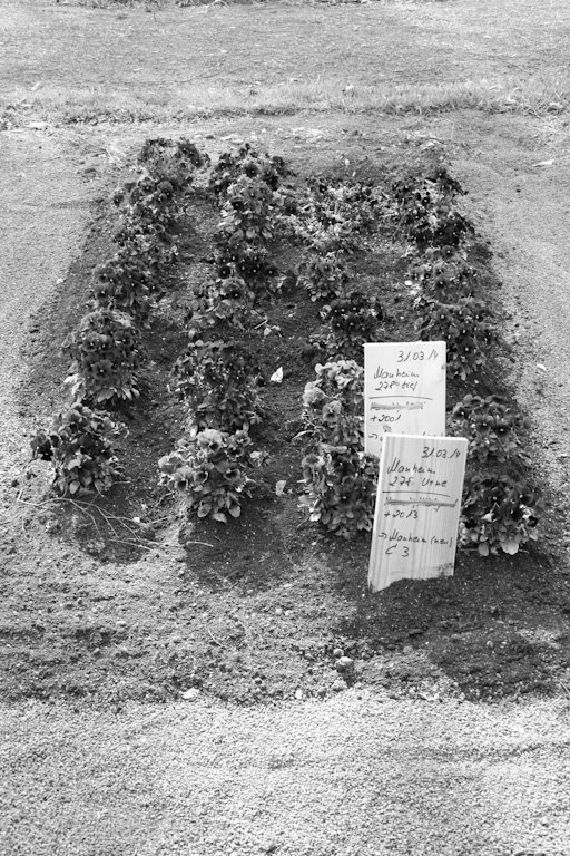 140329145033 IMG 6958