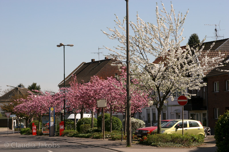 110411140249 IMG 6712