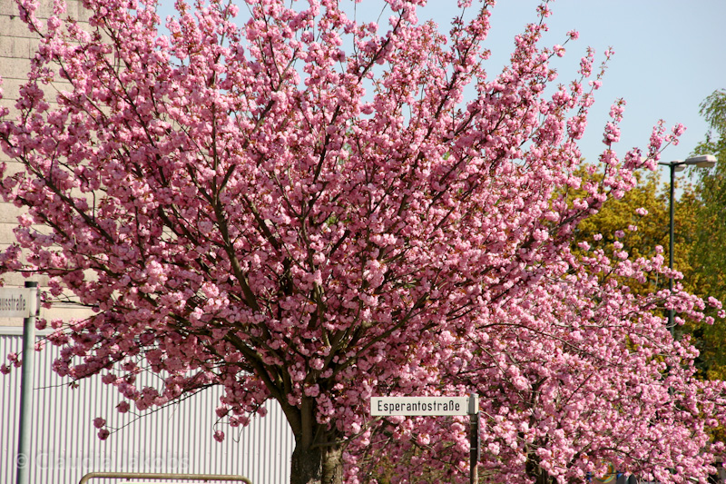 110411140336 IMG 6717