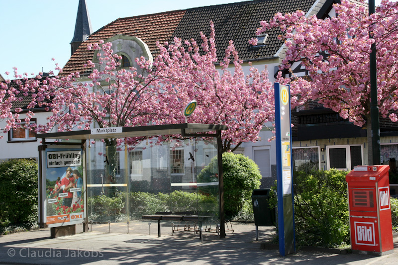 110411140522 IMG 6722