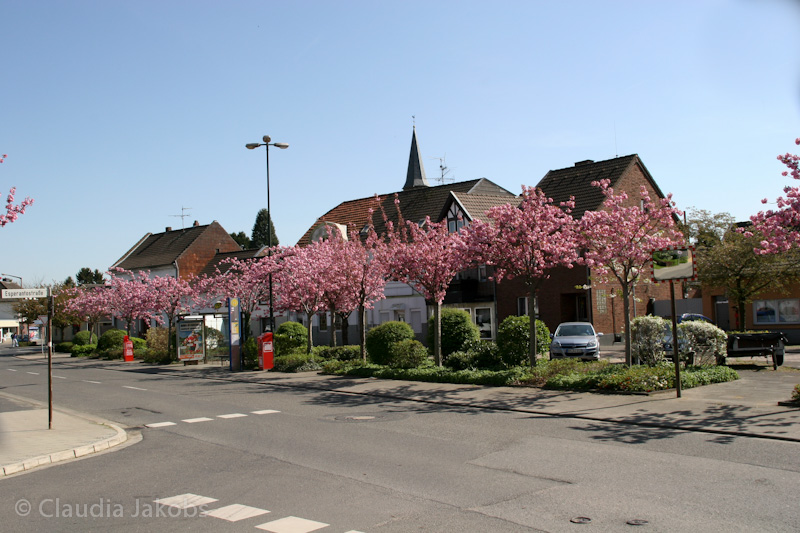 110411140927 IMG 6733