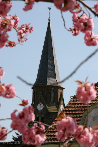 110411141006 IMG 6735