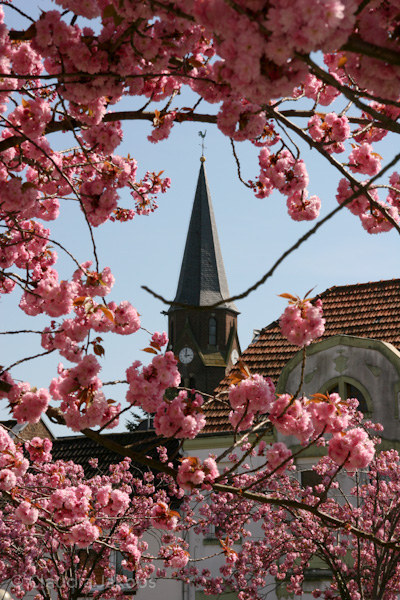 110411141021 IMG 6737