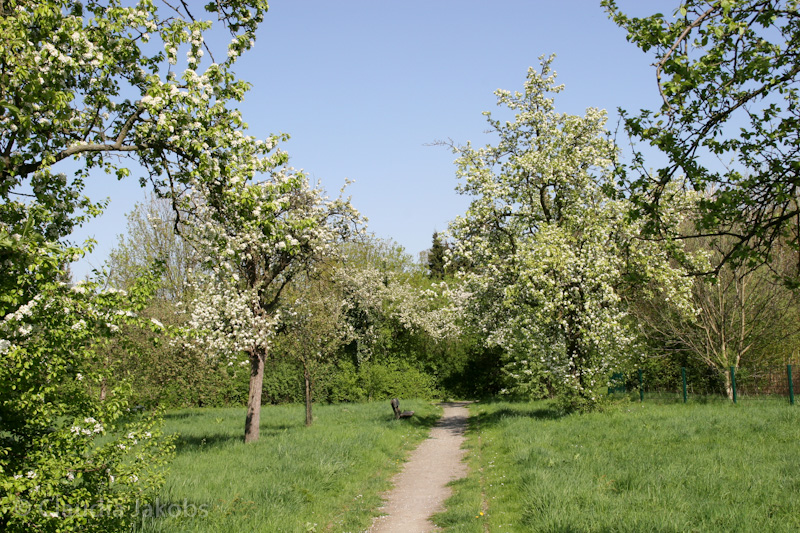 110411141603 IMG 6739