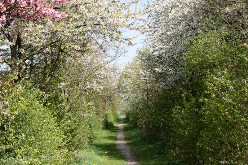 110411145013 IMG 6749