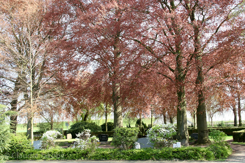 110411152207 IMG 6803